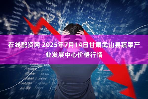 在线配资网 2025年7月14日甘肃武山县蔬菜产业发展中心价格行情