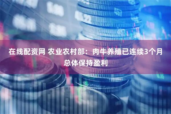 在线配资网 农业农村部：肉牛养殖已连续3个月总体保持盈利