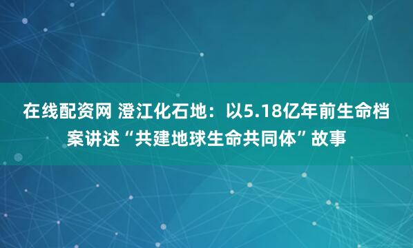 在线配资网 澄江化石地：以5.18亿年前生命档案讲述“共建地球生命共同体”故事