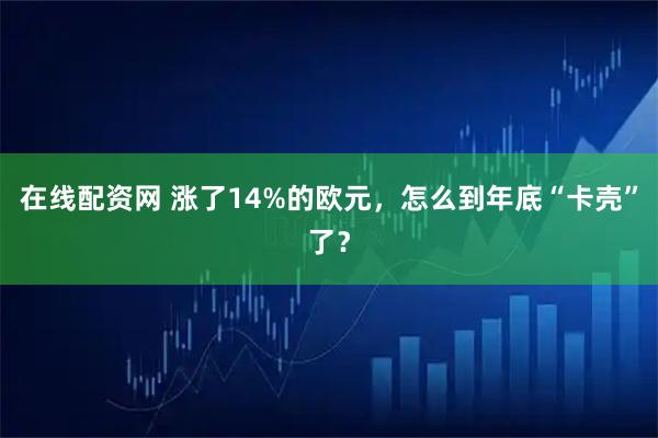 在线配资网 涨了14%的欧元，怎么到年底“卡壳”了？