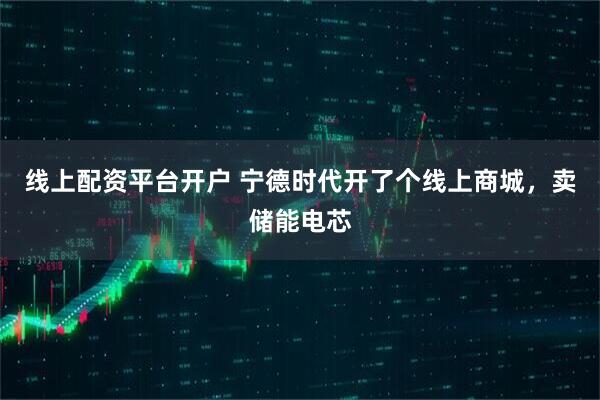 线上配资平台开户 宁德时代开了个线上商城，卖储能电芯