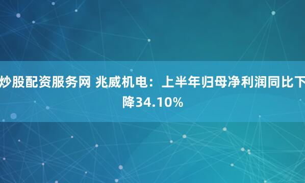 炒股配资服务网 兆威机电：上半年归母净利润同比下降34.10%