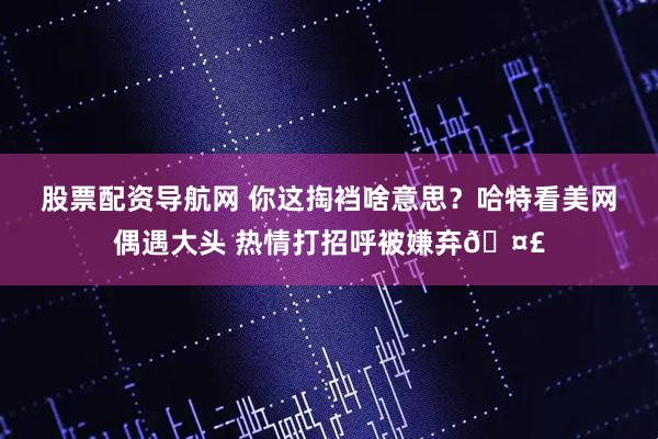 股票配资导航网 你这掏裆啥意思？哈特看美网偶遇大头 热情打招呼被嫌弃🤣