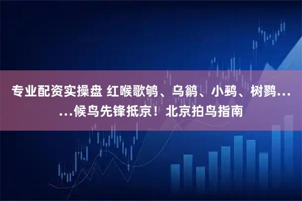 专业配资实操盘 红喉歌鸲、乌鹟、小鹀、树鹨……候鸟先锋抵京！北京拍鸟指南
